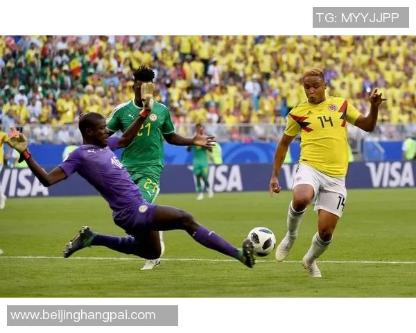 奥地利与巴西足球对决比分预测及赛前分析详解