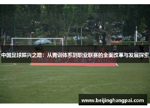 中国足球振兴之路：从青训体系到职业联赛的全面改革与发展探索