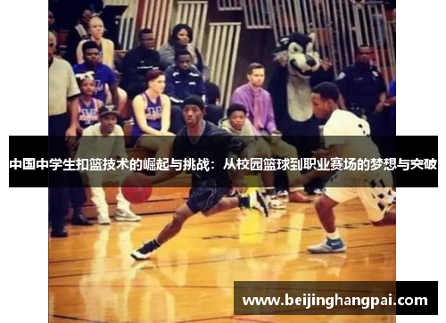 中国中学生扣篮技术的崛起与挑战：从校园篮球到职业赛场的梦想与突破