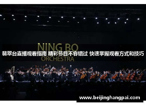 翡翠台直播观看指南 精彩节目不容错过 快速掌握观看方式和技巧