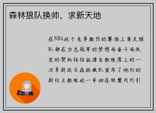 森林狼队换帅，求新天地